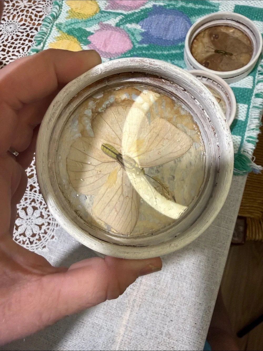 Vintage Pressed Butterfly Coaster Set painted